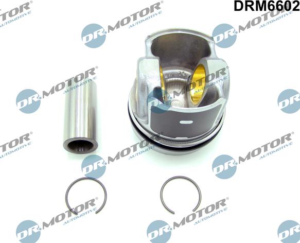 Dr.Motor Automotive DRM6602 - Motor,excluzand accesoriile aaoparts.ro