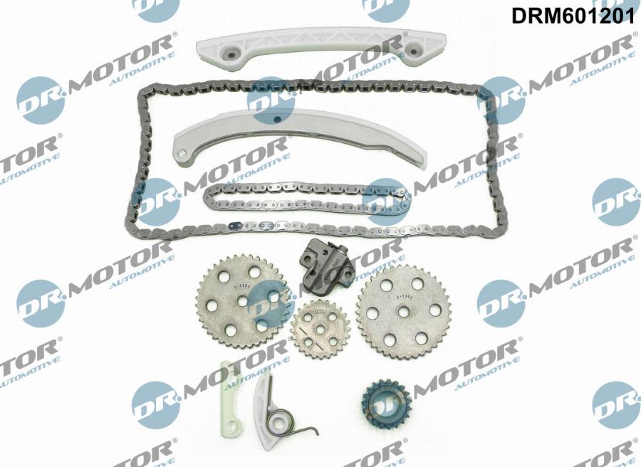 Dr.Motor Automotive DRM601201 - Chit lant de distributie aaoparts.ro