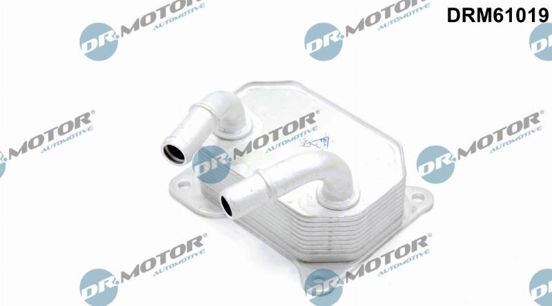 Dr.Motor Automotive DRM61019 - Radiator ulei, ulei motor aaoparts.ro