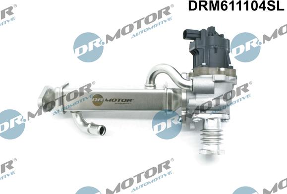 Dr.Motor Automotive DRM611104SL - Supapa EGR aaoparts.ro