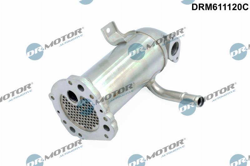 Dr.Motor Automotive DRM611120C - Radiator, recirculare gaze de esapament aaoparts.ro
