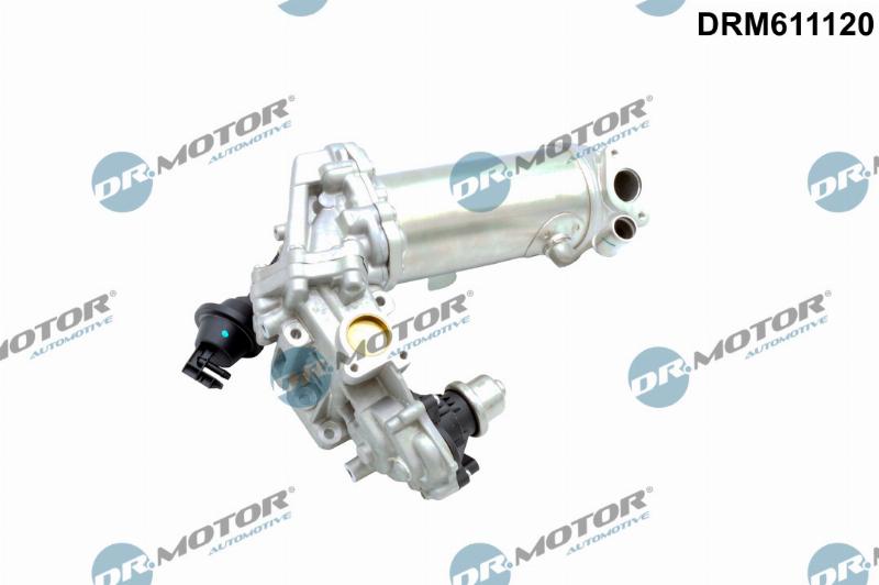 Dr.Motor Automotive DRM611120 - Supapa EGR aaoparts.ro
