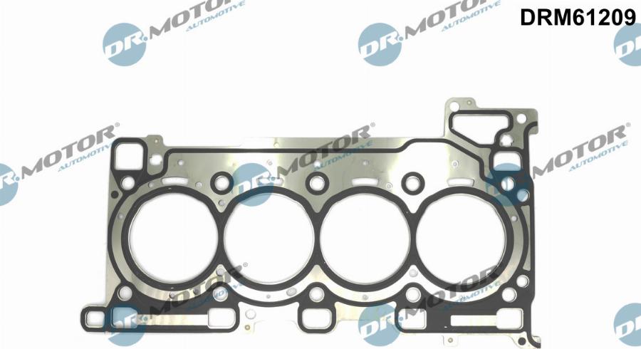 Dr.Motor Automotive DRM61209 - Garnitura, chiulasa aaoparts.ro