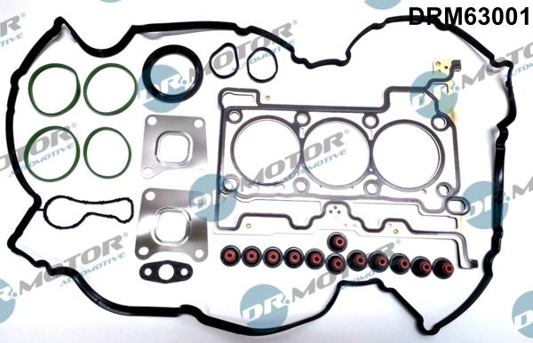 Dr.Motor Automotive DRM63001 - Set garnituri, chiulasa aaoparts.ro