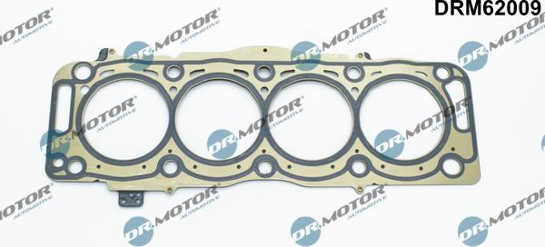 Dr.Motor Automotive DRM62009 - Garnitura, chiulasa aaoparts.ro