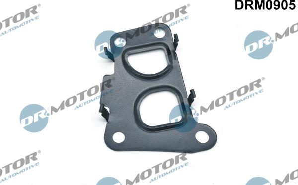 Dr.Motor Automotive DRM0905 - Garnitura, ventil AGR aaoparts.ro