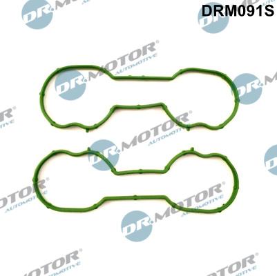 Dr.Motor Automotive DRM091S - Set garnituri, galerie admisie aaoparts.ro