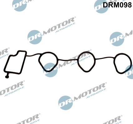 Dr.Motor Automotive DRM098 - Garnitura, galerie admisie aaoparts.ro