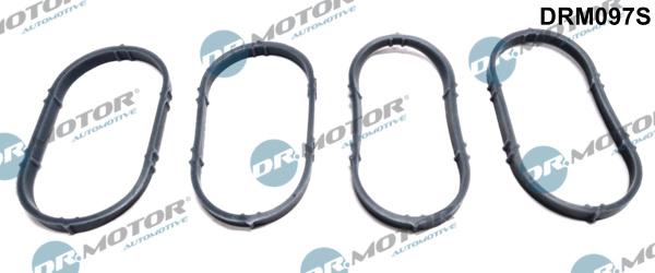 Dr.Motor Automotive DRM097S - Set garnituri, galerie admisie aaoparts.ro