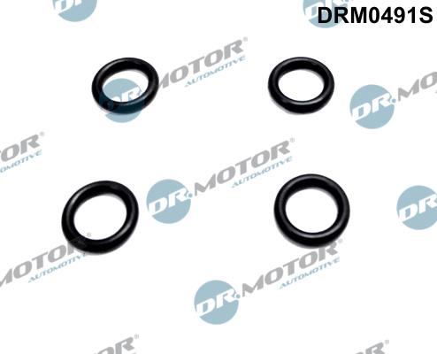 Dr.Motor Automotive DRM0491S - Etansare, suport injector aaoparts.ro