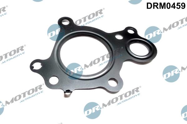 Dr.Motor Automotive DRM0459 - Garnitura, ventil AGR aaoparts.ro