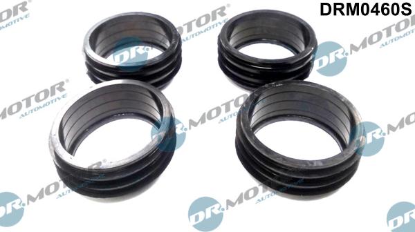 Dr.Motor Automotive DRM0460S - Set garnituri, galerie admisie aaoparts.ro