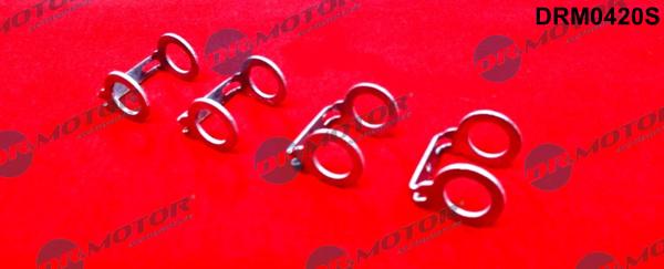 Dr.Motor Automotive DRM0420S - Set garnituri, instalație de injecție aaoparts.ro