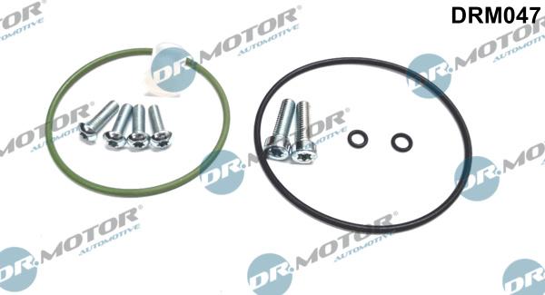 Dr.Motor Automotive DRM047 - Set reparatie, pompa vacuum (Siste frana) aaoparts.ro