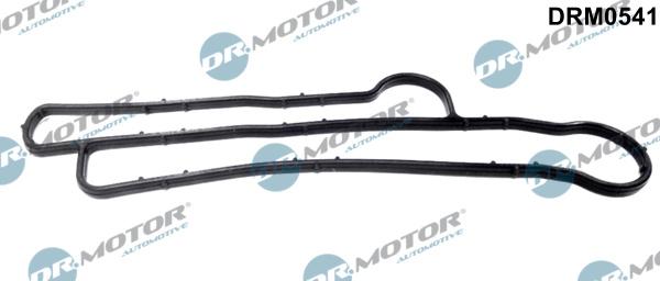 Dr.Motor Automotive DRM0541 - Etansare, racire ulei aaoparts.ro