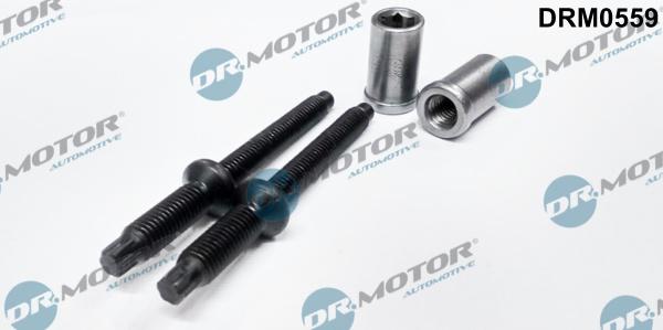 Dr.Motor Automotive DRM0559 - Surub, suport injector aaoparts.ro