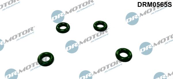 Dr.Motor Automotive DRM0565S - Etansare, suport injector aaoparts.ro