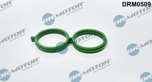 Dr.Motor Automotive DRM0509 - Etansare, Supapa mers in gol - alimentare aer aaoparts.ro