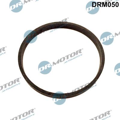 Dr.Motor Automotive DRM050 - Garnitura, ventil AGR aaoparts.ro