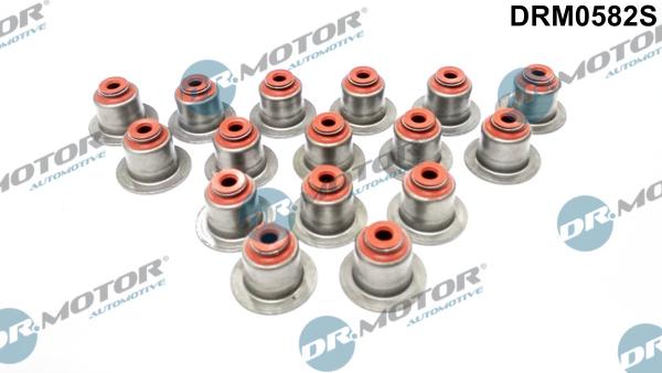 Dr.Motor Automotive DRM0582S - Set garnituri, ax supape aaoparts.ro