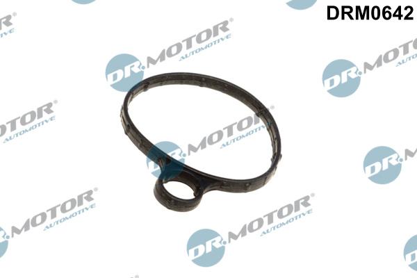 Dr.Motor Automotive DRM0642 - Garnitura, pompa vacuum aaoparts.ro