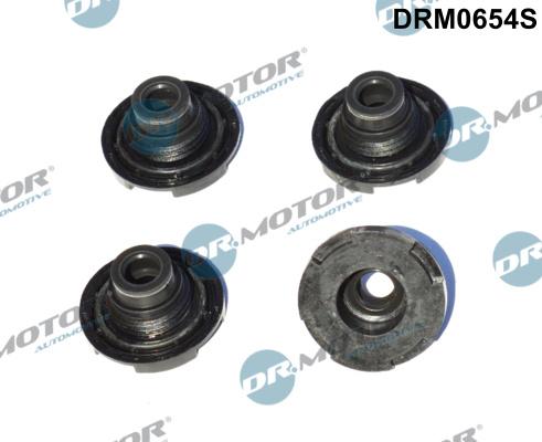 Dr.Motor Automotive DRM0654S - Garnitura, chiulasa aaoparts.ro