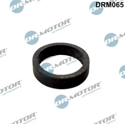 Dr.Motor Automotive DRM065 - Garnitura,aerisire bloc motor aaoparts.ro