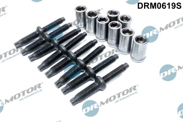 Dr.Motor Automotive DRM0619S - Surub, suport injector aaoparts.ro