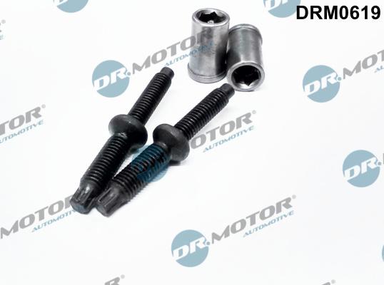 Dr.Motor Automotive DRM0619 - Surub, suport injector aaoparts.ro