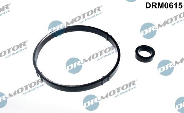 Dr.Motor Automotive DRM0615 - Set garnituri, radiator ulei aaoparts.ro