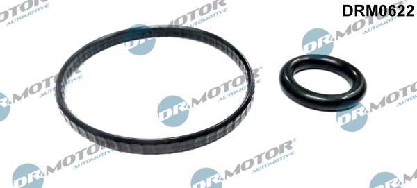 Dr.Motor Automotive DRM0622 - Set garnituri, radiator ulei aaoparts.ro