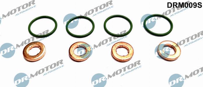Dr.Motor Automotive DRM009S - Set garnituri etansare,injectoare aaoparts.ro