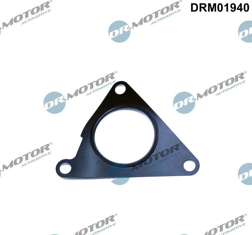 Dr.Motor Automotive DRM01940 - Garnitura, ventil AGR aaoparts.ro