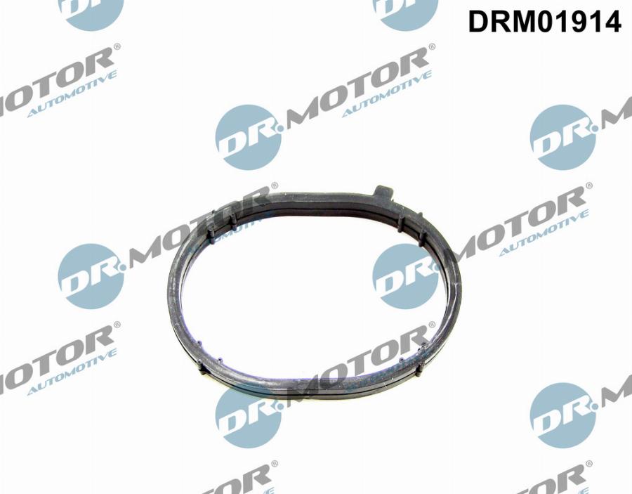 Dr.Motor Automotive DRM01914 - Garnitura, galerie admisie aaoparts.ro