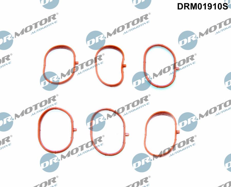 Dr.Motor Automotive DRM01910S - Set garnituri, galerie admisie aaoparts.ro