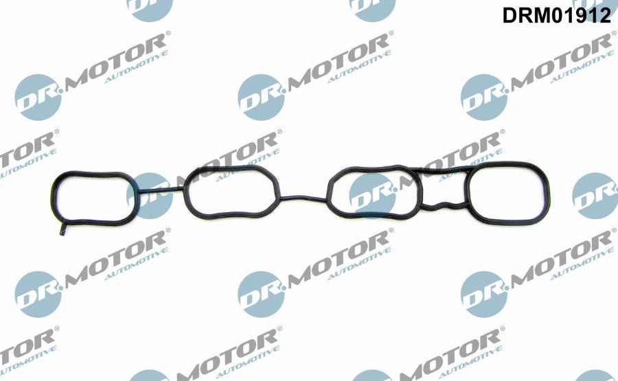 Dr.Motor Automotive DRM01912 - Garnitura, galerie admisie aaoparts.ro