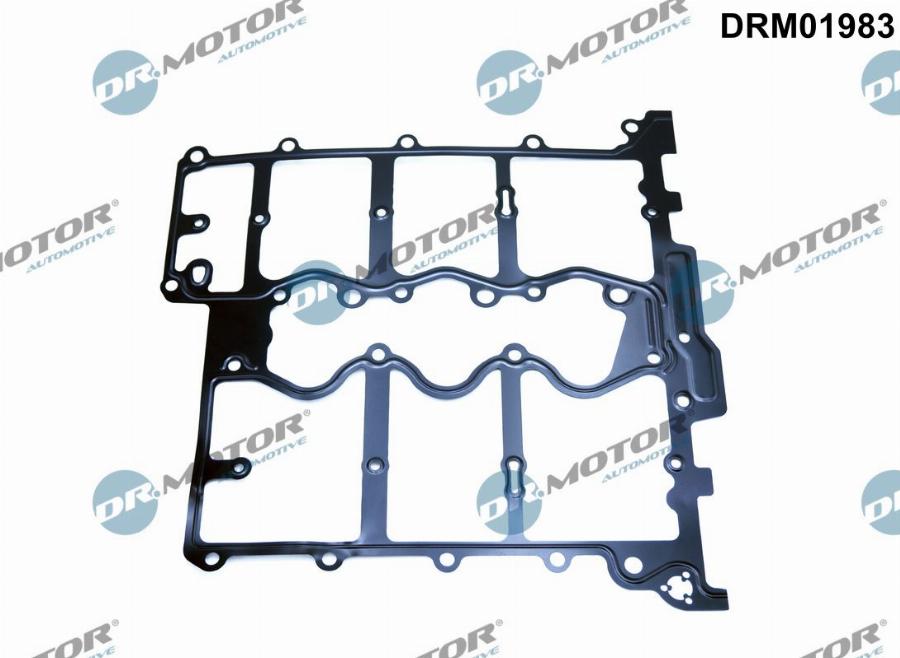 Dr.Motor Automotive DRM01983 - Garnitura, capac supape aaoparts.ro