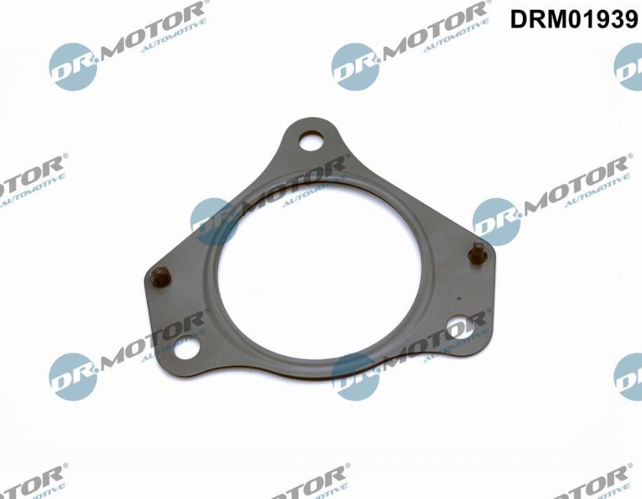 Dr.Motor Automotive DRM01939 - Garnitura, racord evacuare aaoparts.ro