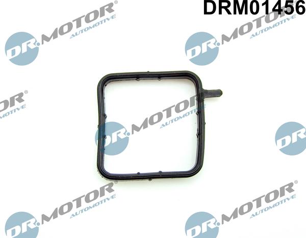 Dr.Motor Automotive DRM01456 - Garnitura,teava lichi de racire aaoparts.ro