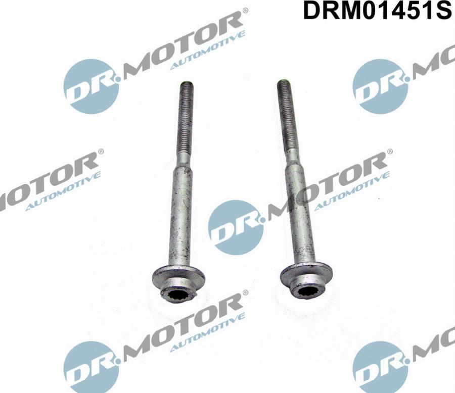 Dr.Motor Automotive DRM01451S - Surub, suport injector aaoparts.ro