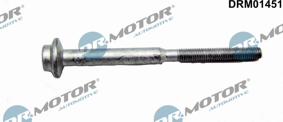Dr.Motor Automotive DRM01451 - Surub, suport injector aaoparts.ro