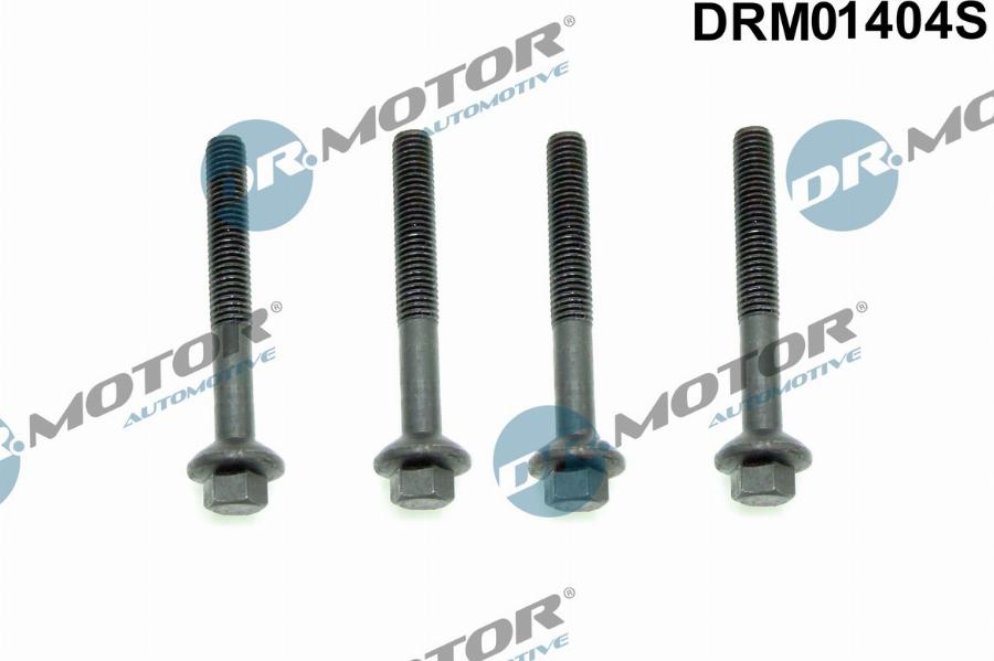 Dr.Motor Automotive DRM01404S - Surub, suport injector aaoparts.ro