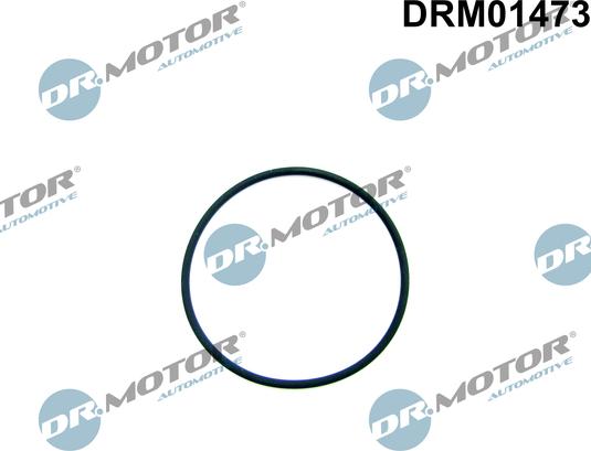 Dr.Motor Automotive DRM01473 - Garnitura, pompa combustibil aaoparts.ro