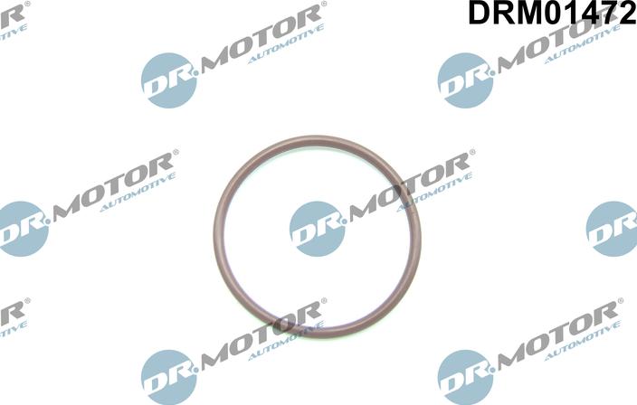 Dr.Motor Automotive DRM01472 - Garnitura, pompa combustibil aaoparts.ro