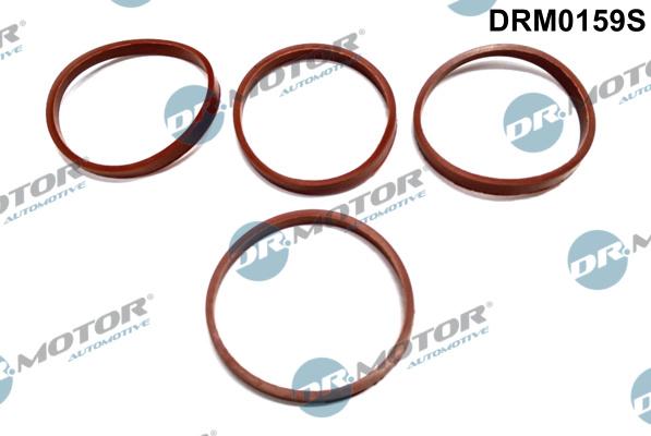 Dr.Motor Automotive DRM0159S - Set garnituri, galerie admisie aaoparts.ro