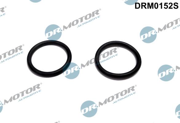 Dr.Motor Automotive DRM0152S - Garnitura, flansa incalzire -preancalzitor aer admisie aaoparts.ro