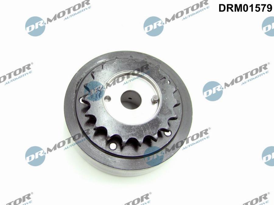 Dr.Motor Automotive DRM01579 - Regulator ax cu came aaoparts.ro