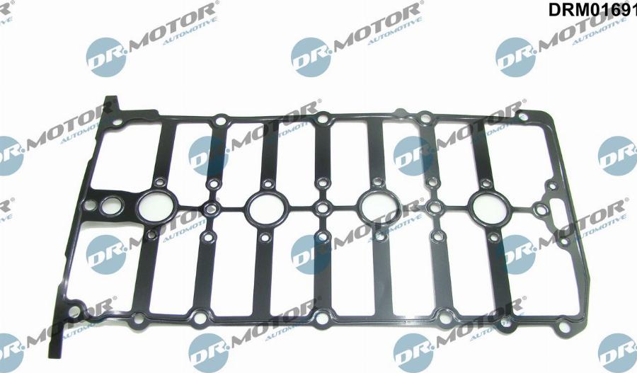 Dr.Motor Automotive DRM01691 - Garnitura, capac supape aaoparts.ro