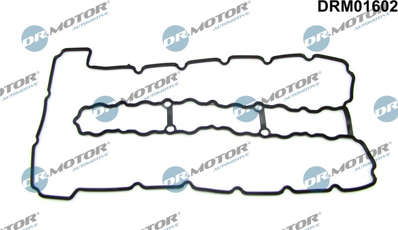 Dr.Motor Automotive DRM01602 - Garnitura, capac supape aaoparts.ro