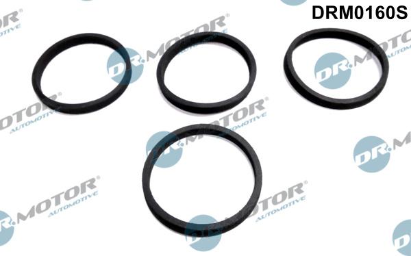 Dr.Motor Automotive DRM0160S - Set garnituri, galerie admisie aaoparts.ro